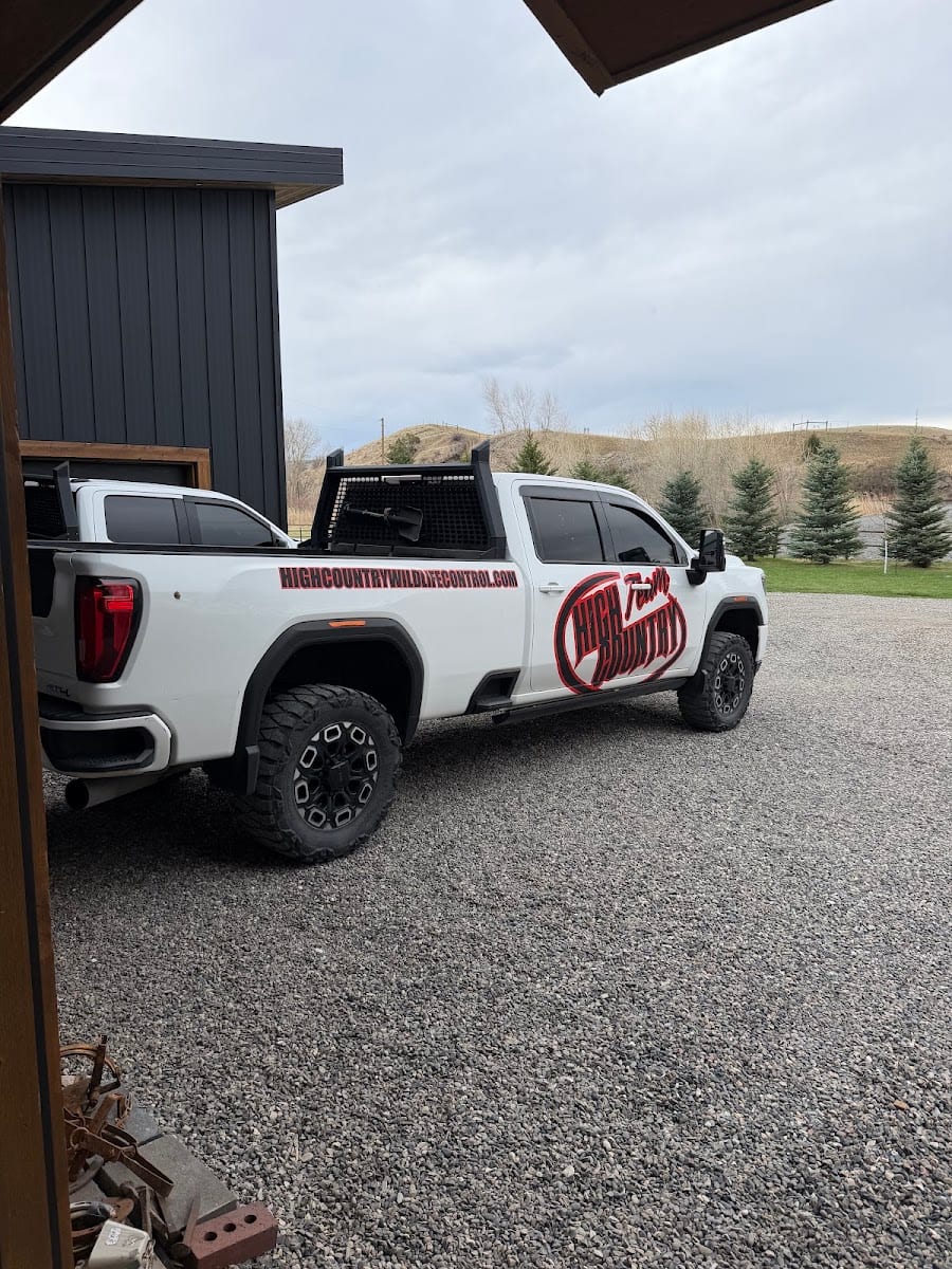 High Country Wildlife and Pest Control of Montana