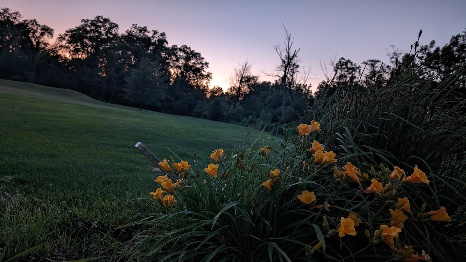 Brookwood Golf Club, photo 4