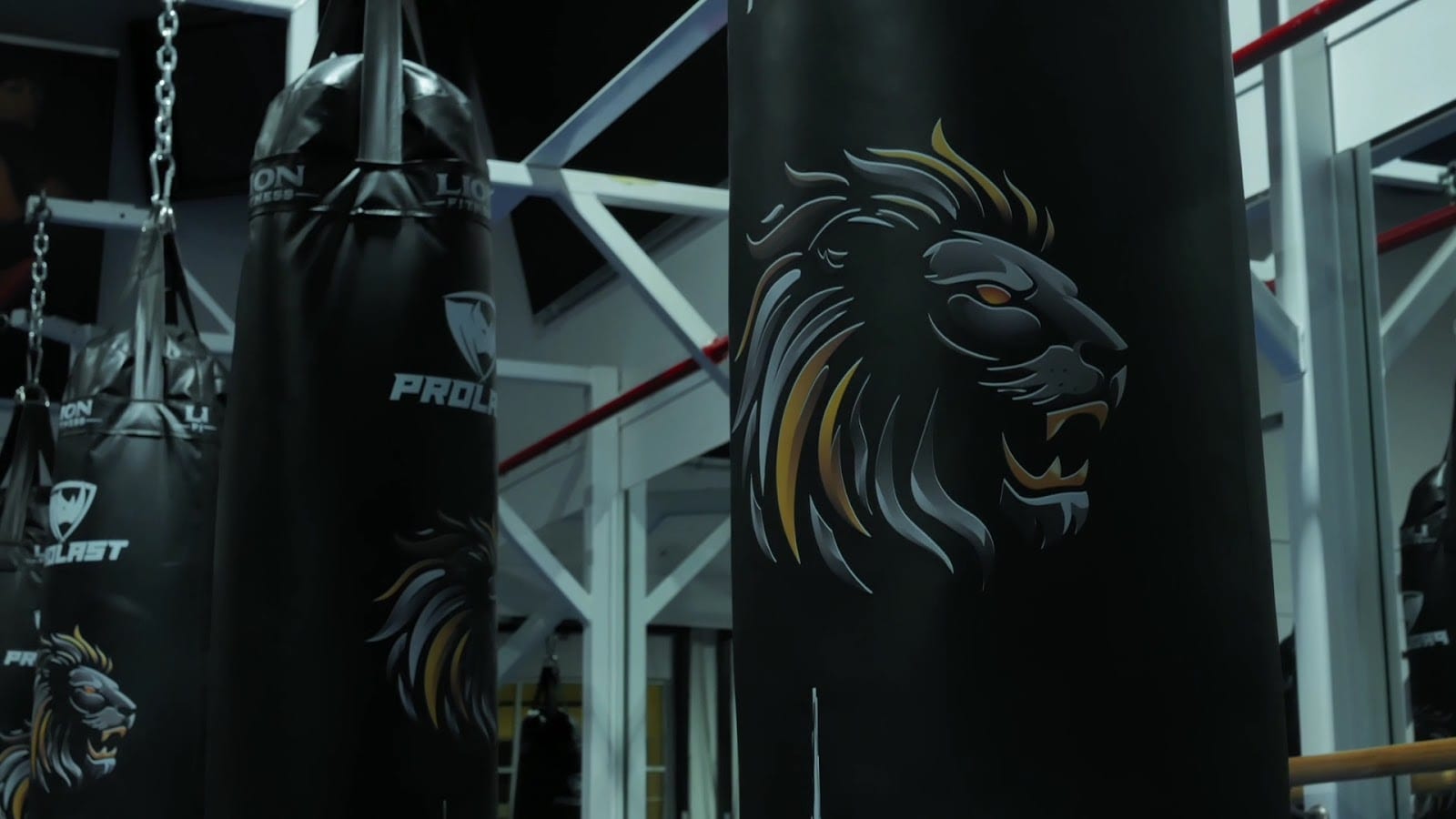 Lion Fitness, photo 3