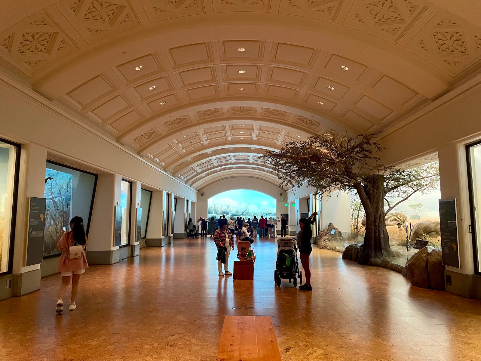 Tusher African Hall