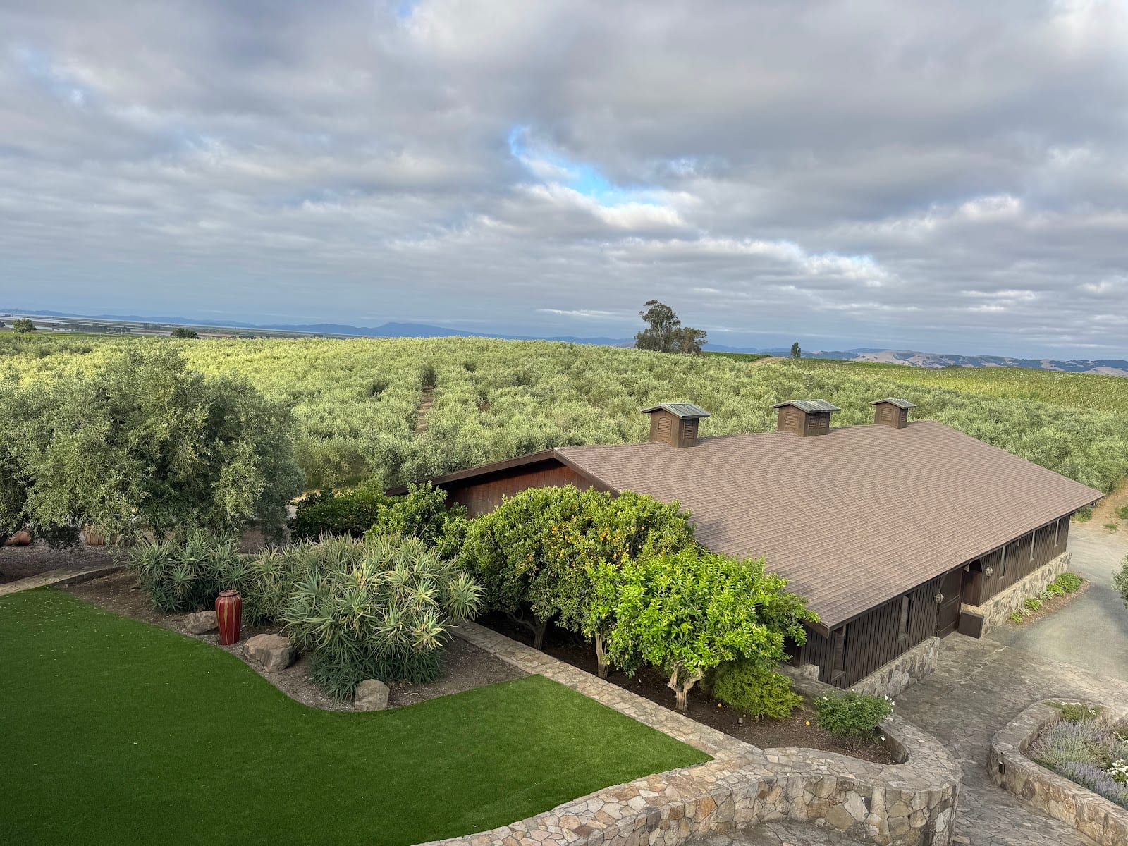 Olive Hill, photo 2