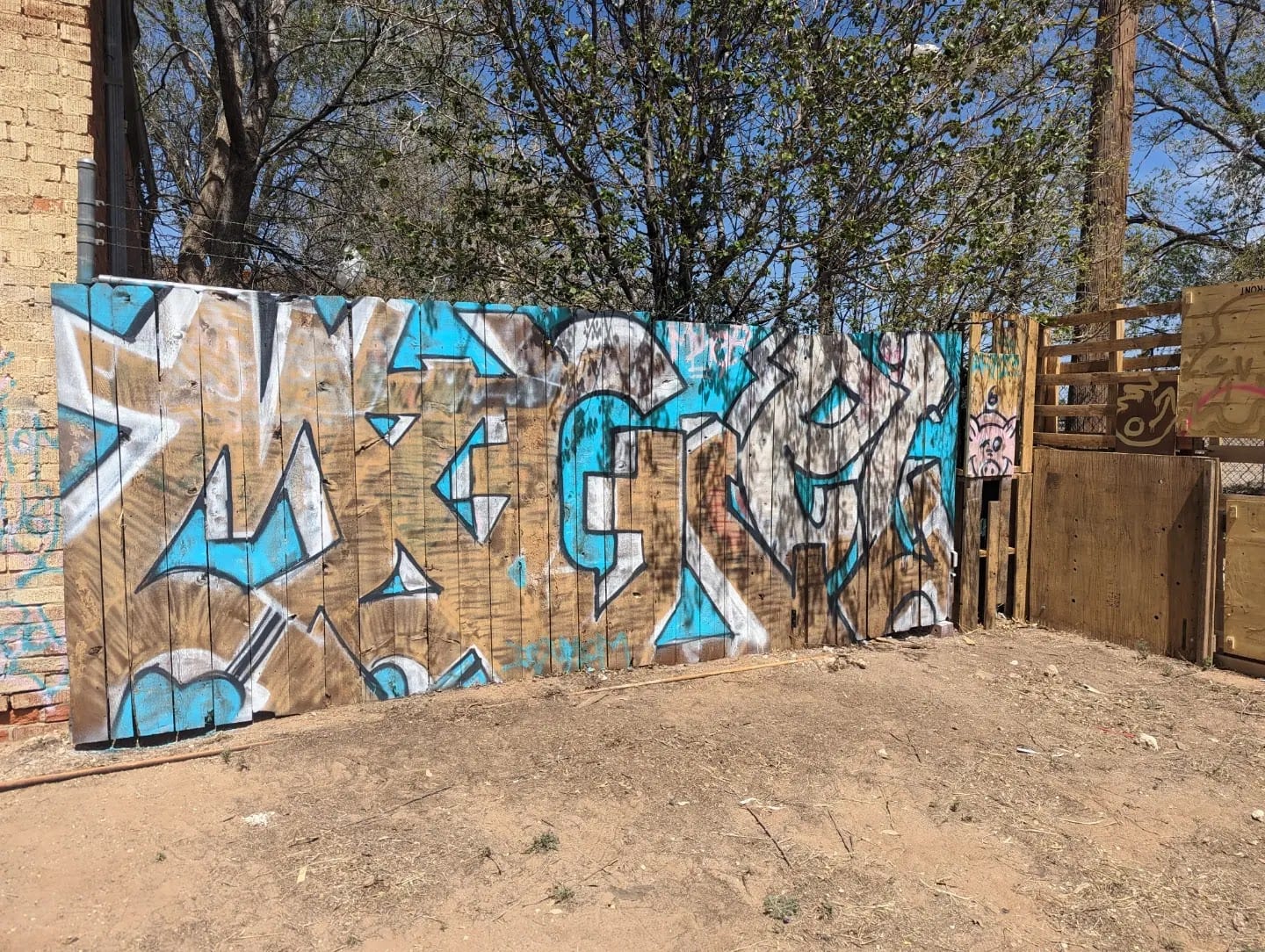 Lubbock Graffiti Garden, photo 2