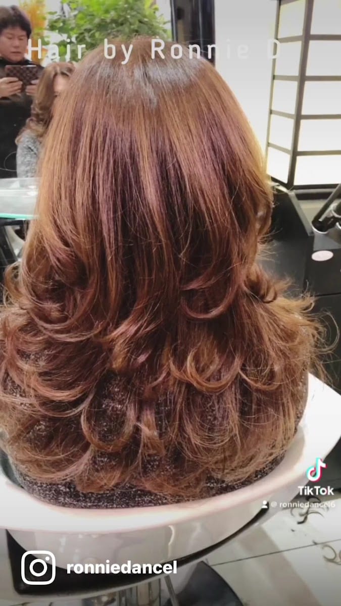 HOUSE OF HAIR by RONNIE DANCEL, photo 3