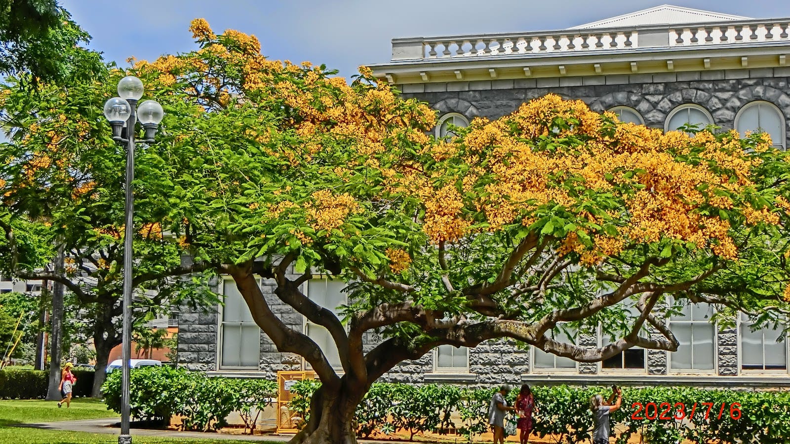 Honolulu Museum of Art School, photo 2