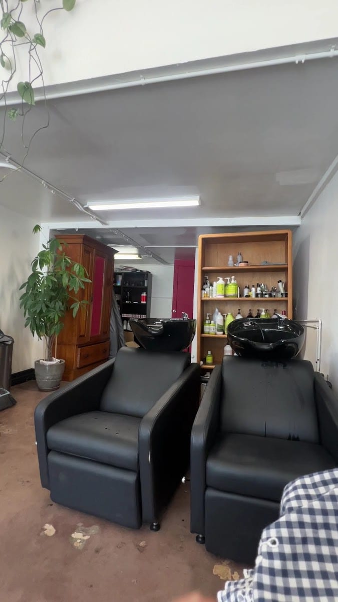 Hair To Dye For, photo 2