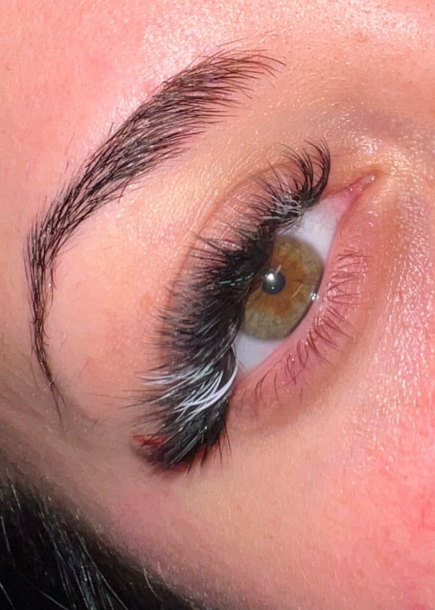 Flutter Aesthetics, photo 2