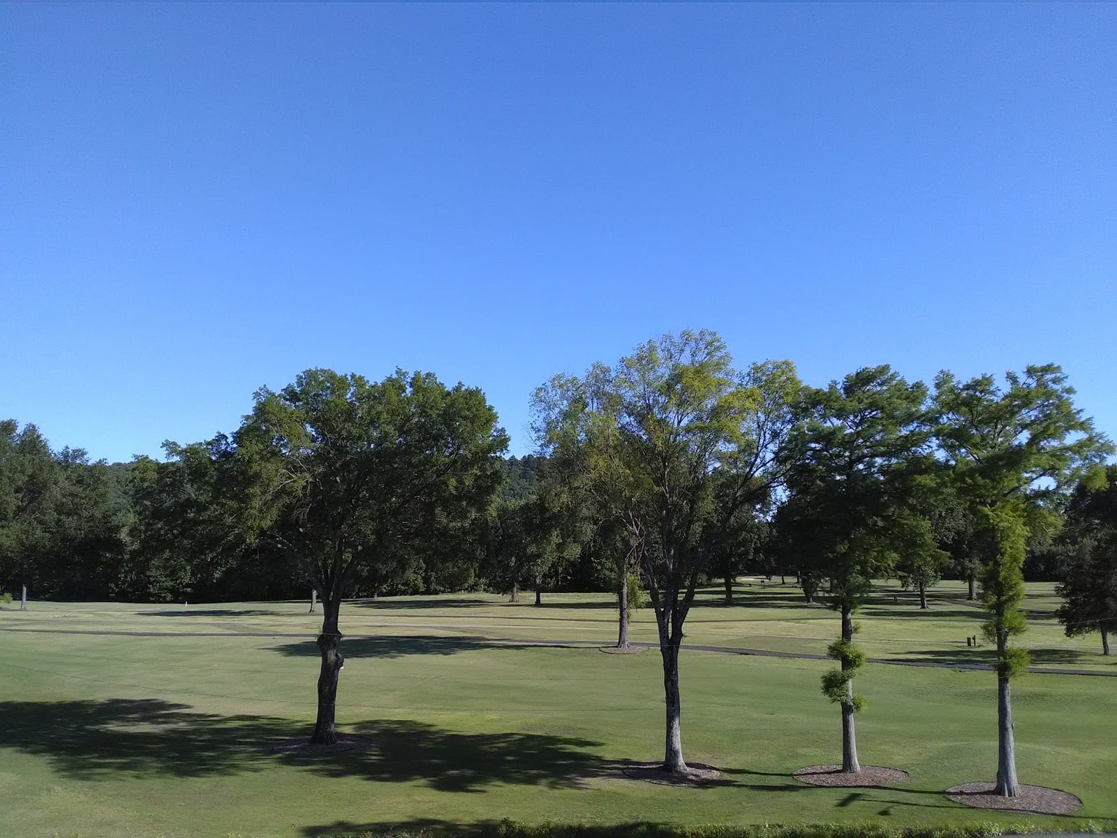 Lawn Arts Lawn and Handyman Services Inc., photo 4