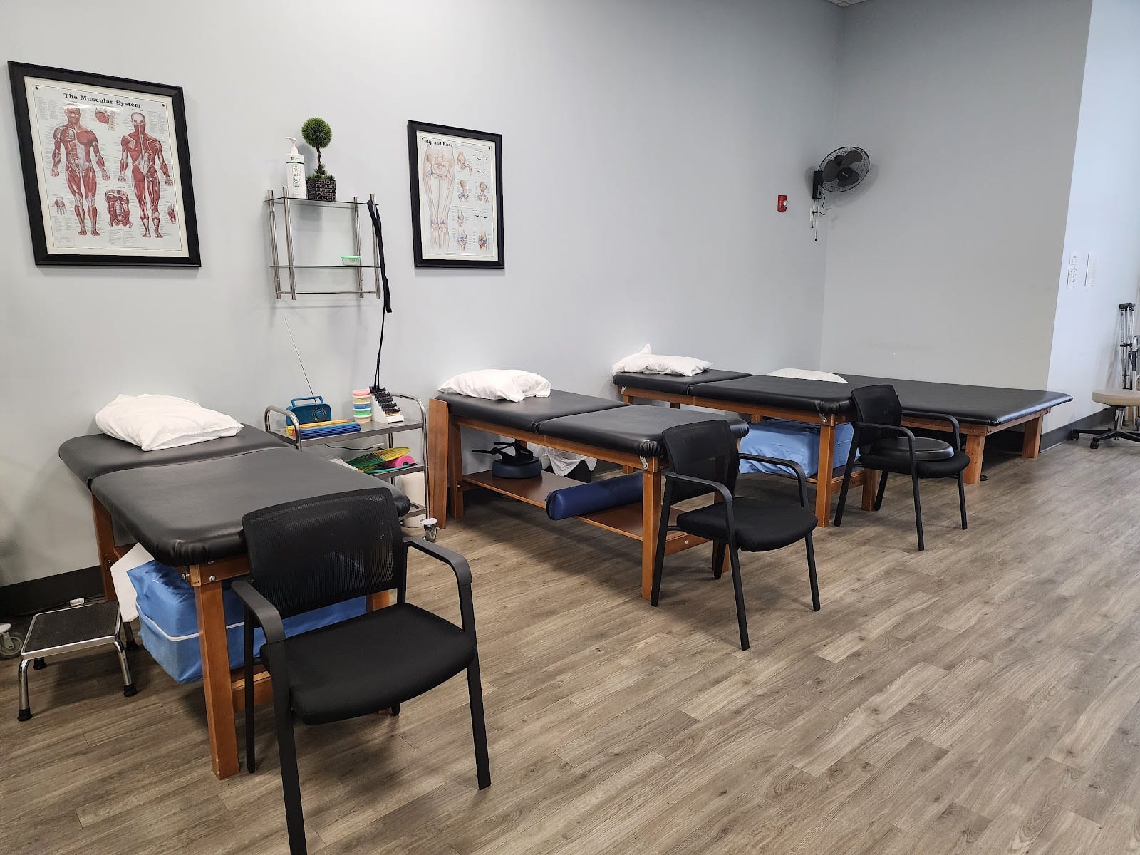 Rebound Rehabilitation - Middleburg