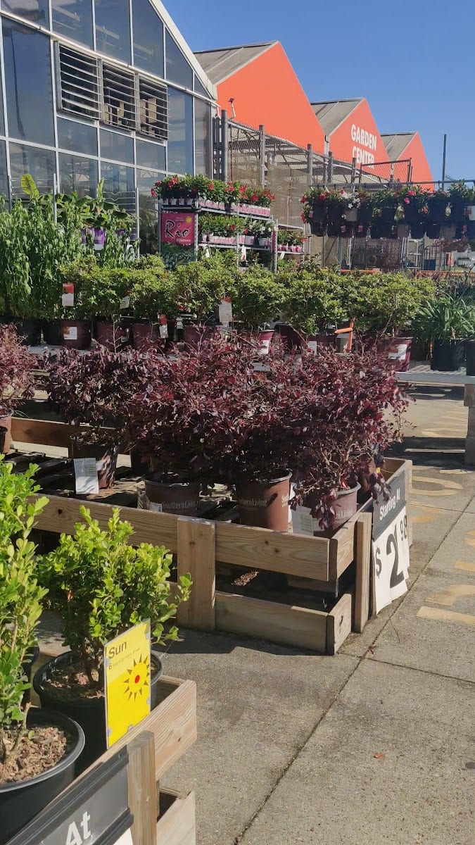 The Home Depot, photo 3