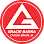 Gracie Barra SkyPointe Centennial LV