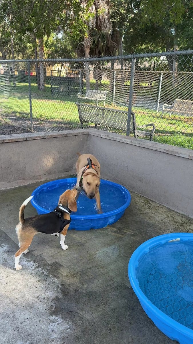 Dog Park, photo 2