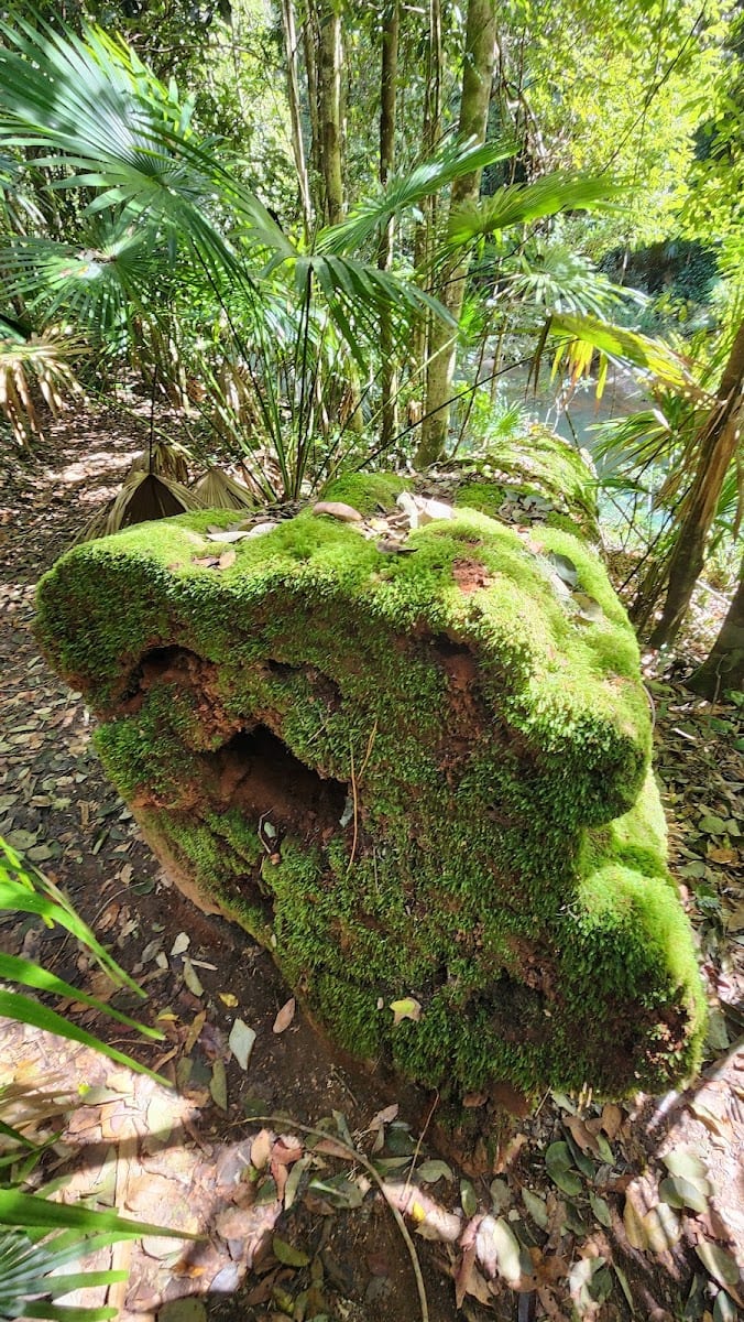 Platypus Lake Trail, photo 3