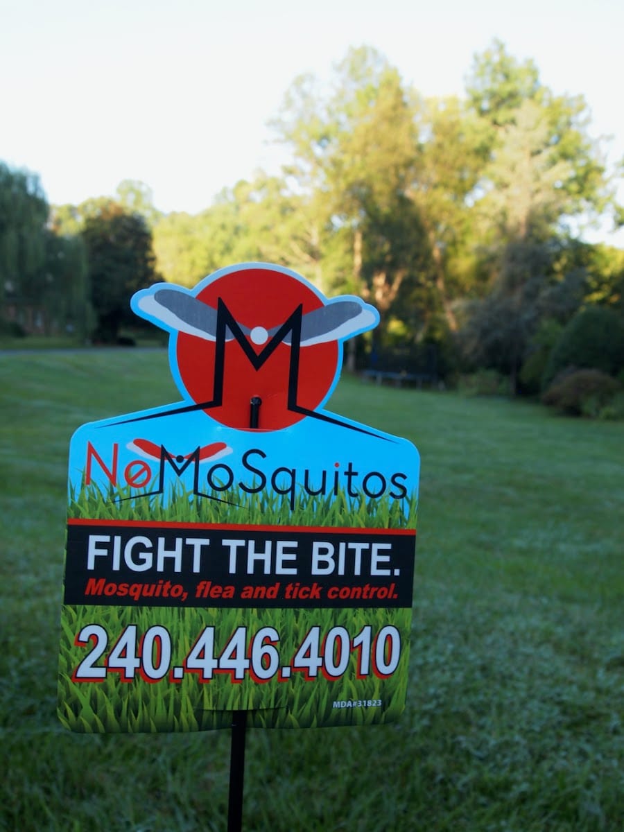 No MoSquitos, photo 4