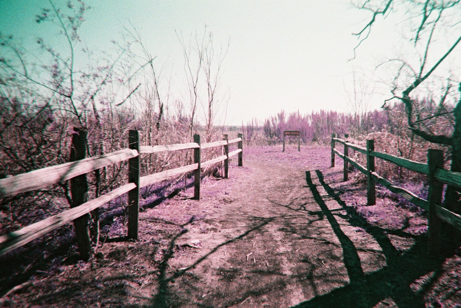 Grand Park, photo 3