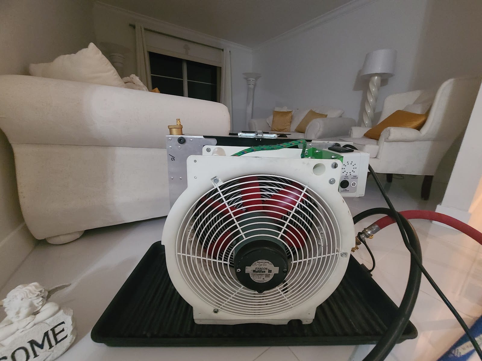 Bed Bug Exterminator, photo 2