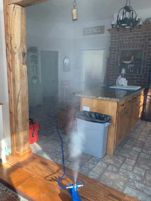 Mold Busters Logan