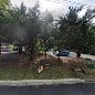 Garden Girls Landscaping LLC