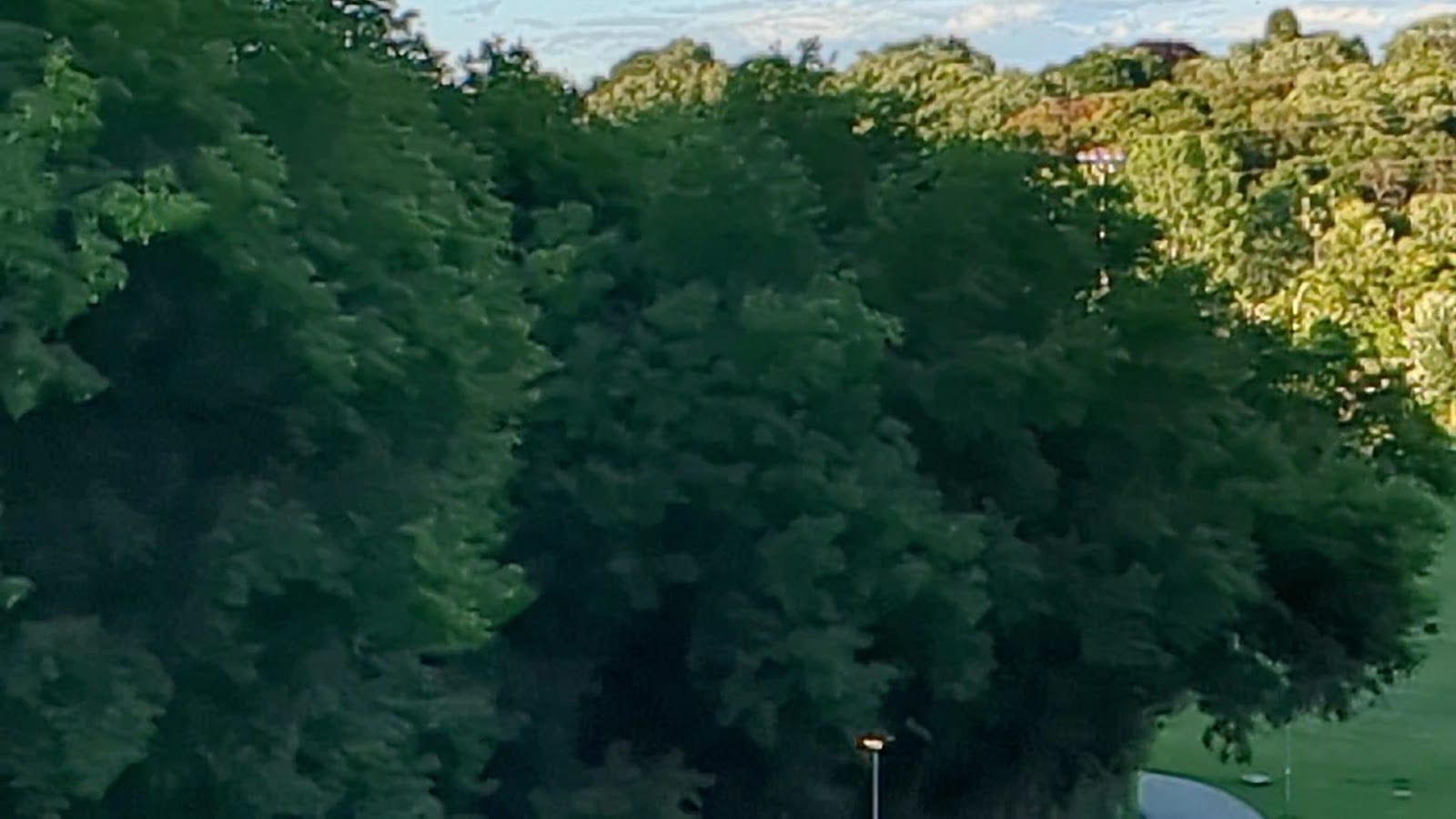 Riverdale Park West, photo 2