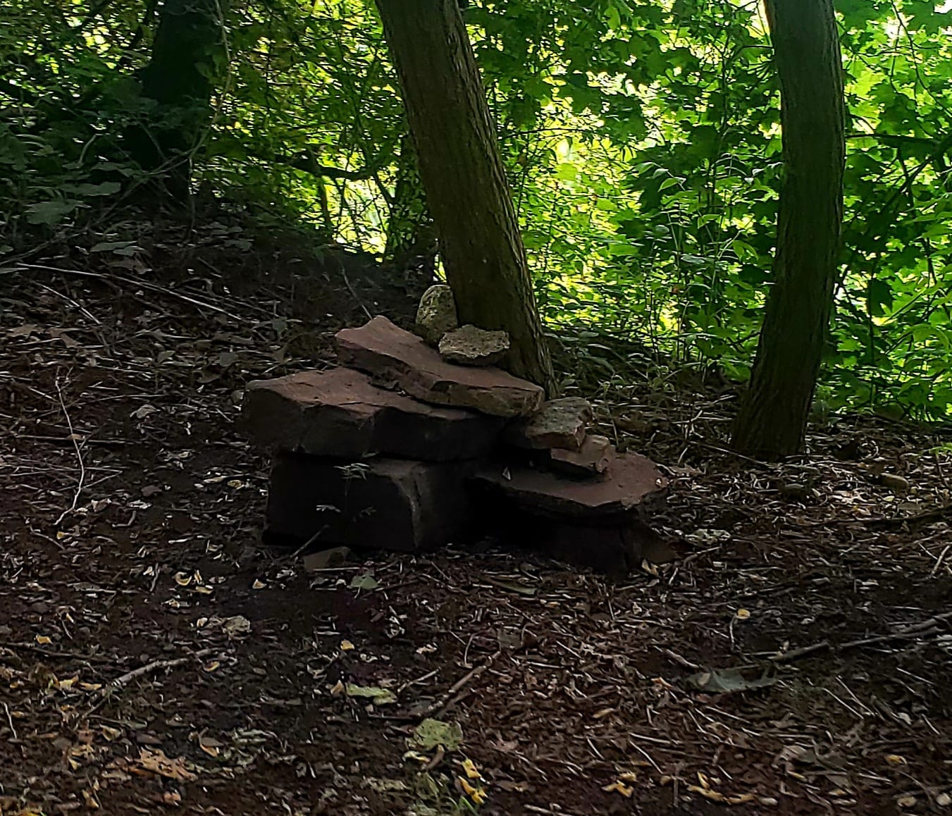 Brewster Harding Park, photo 3