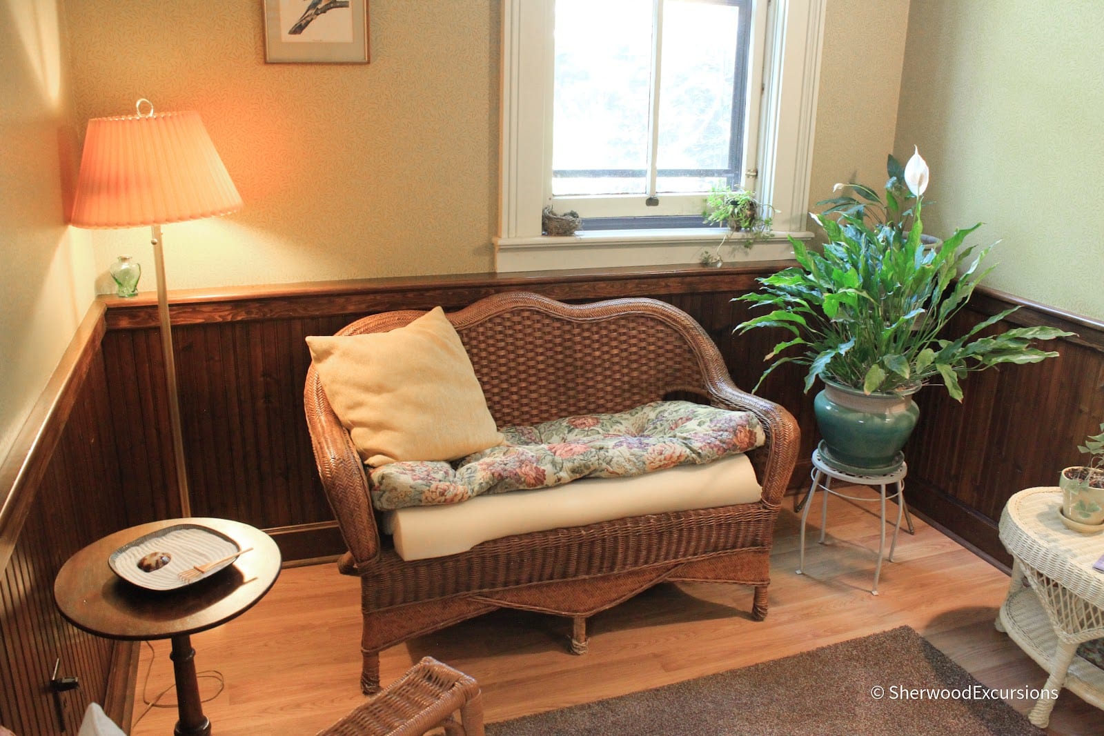 Dragon's Eye Wellness, photo 3