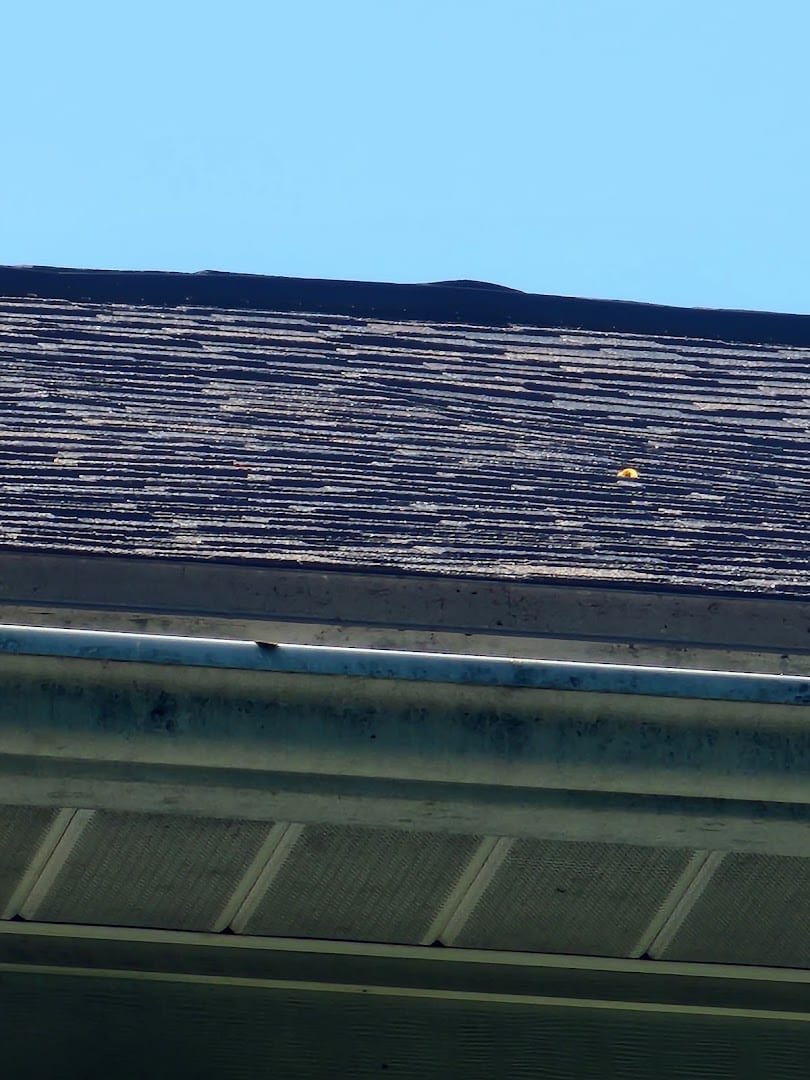 Witz Roofing, photo 4