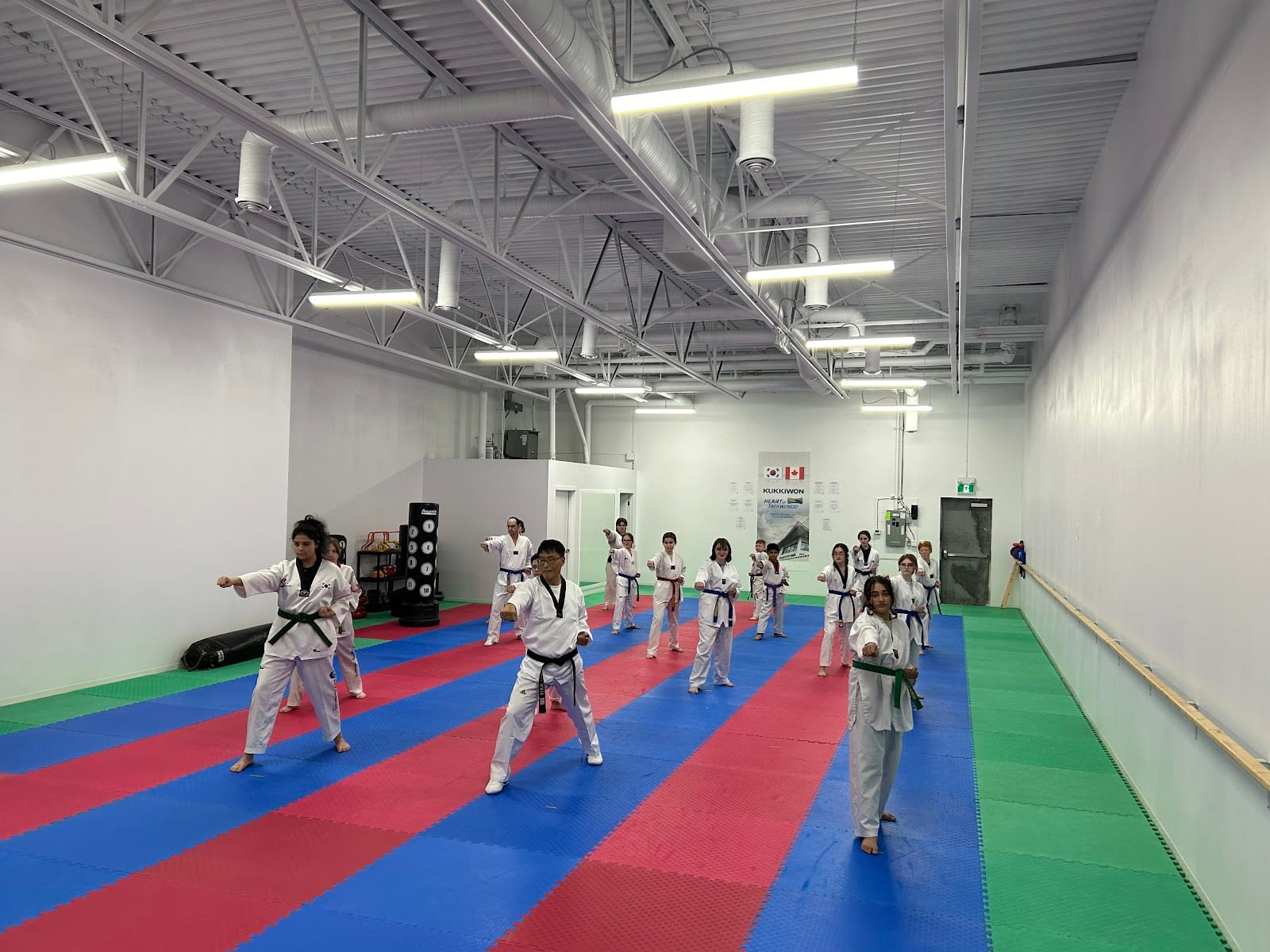Sky Taekwondo - Sherwood Park