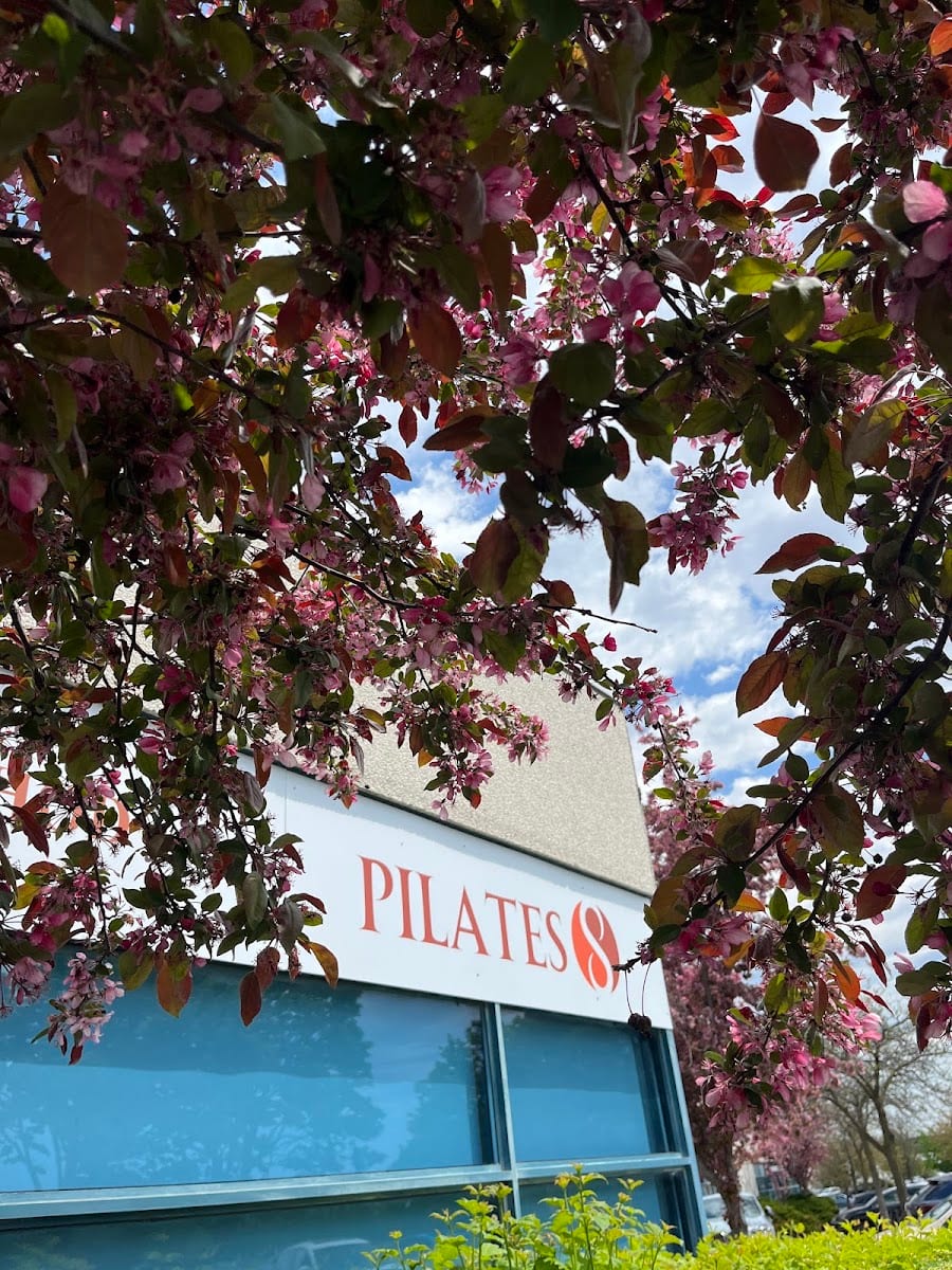 Pilates 8 (GYROTONIC INFINITY 8)