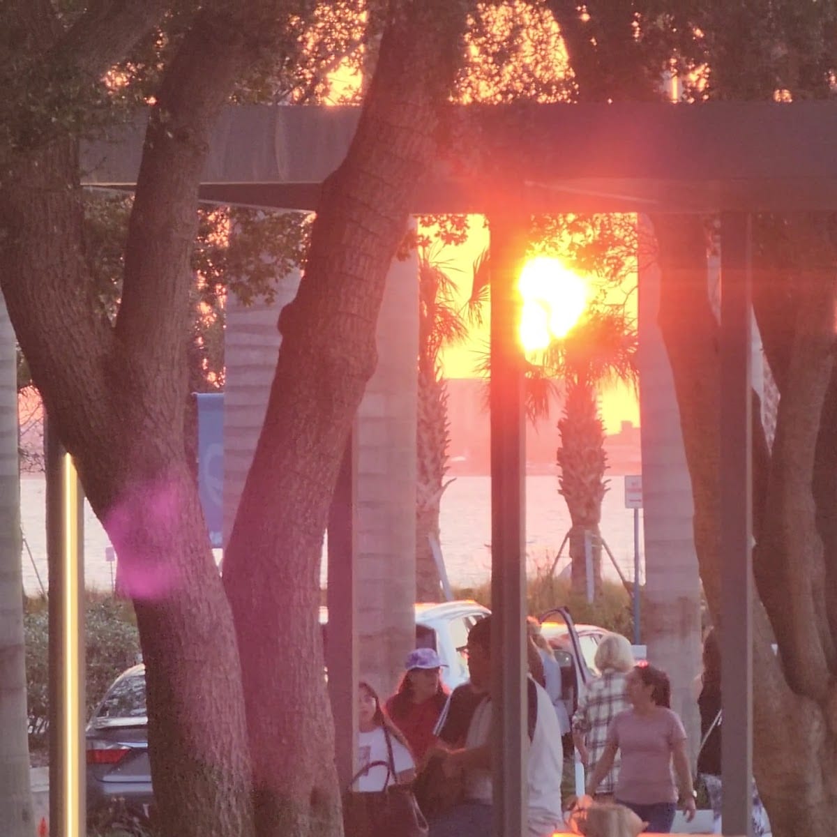 The Bay Park, photo 3