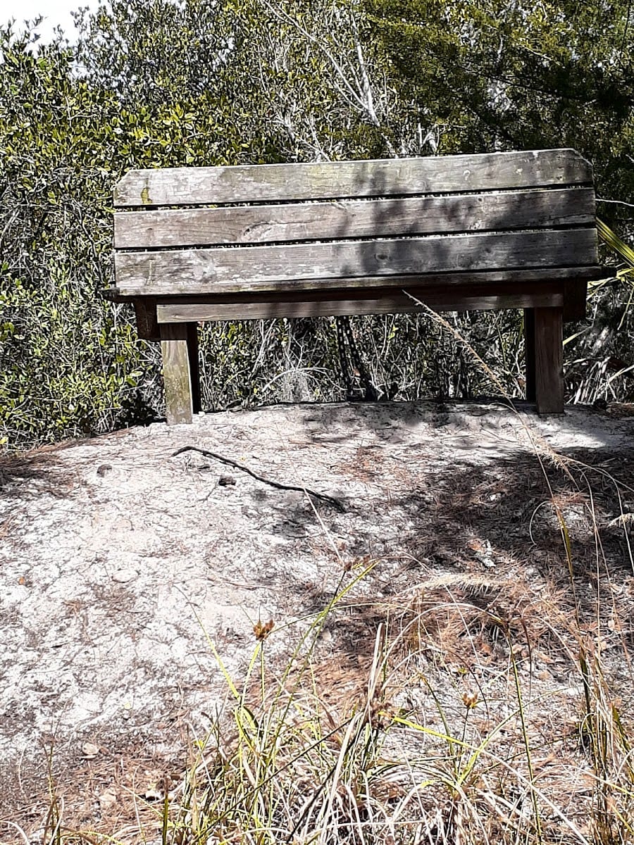 South Venice Bay Preserve, Ocelot Rd entrance, photo 2
