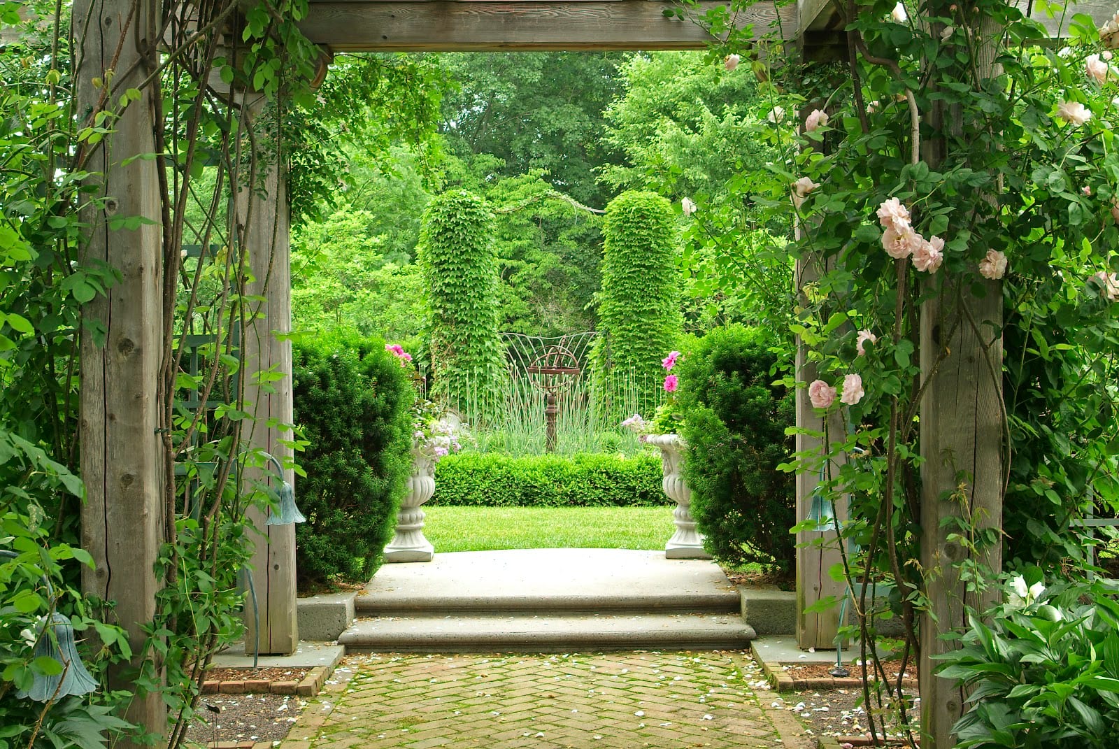 Carter van Dyke Associates, Inc,, photo 3