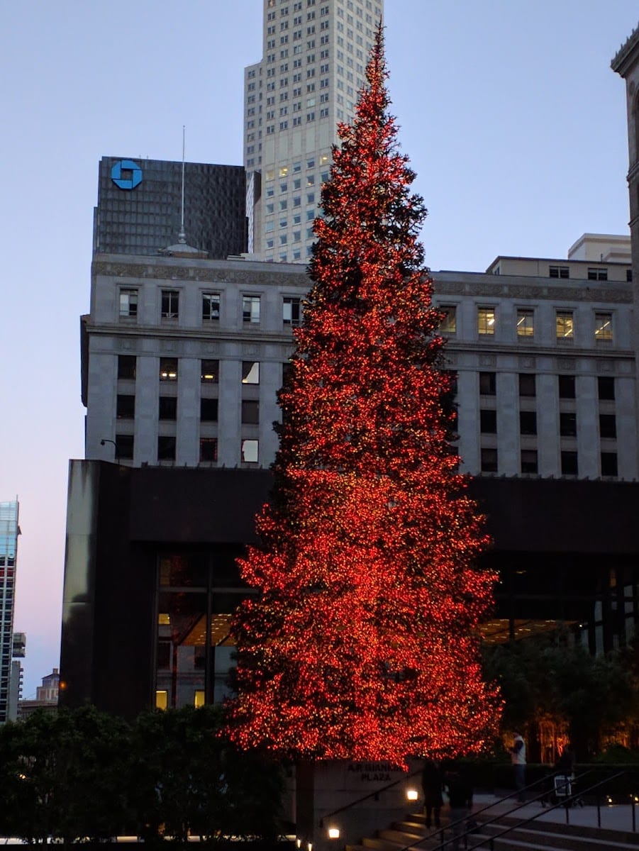 Bay Club Financial District, photo 2