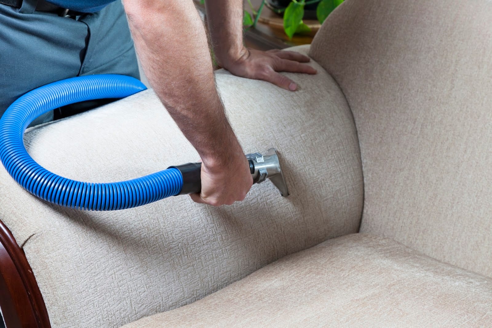 A World of Difference Carpet Cleaning