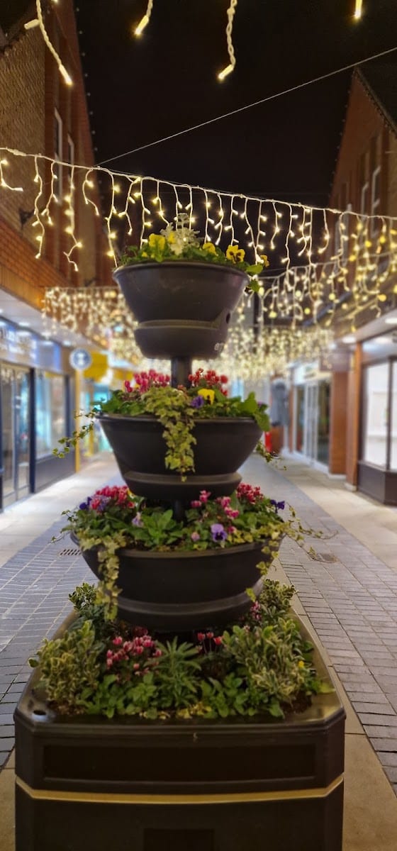 Neal's Yard Remedies Store & Therapy Rooms St Albans, photo 4