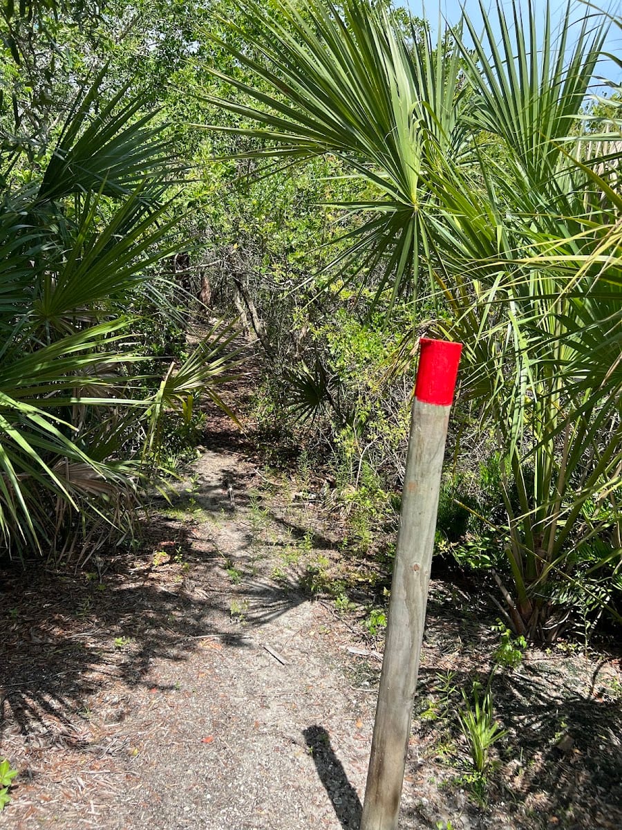 Diamondback Nature Preserve, photo 2