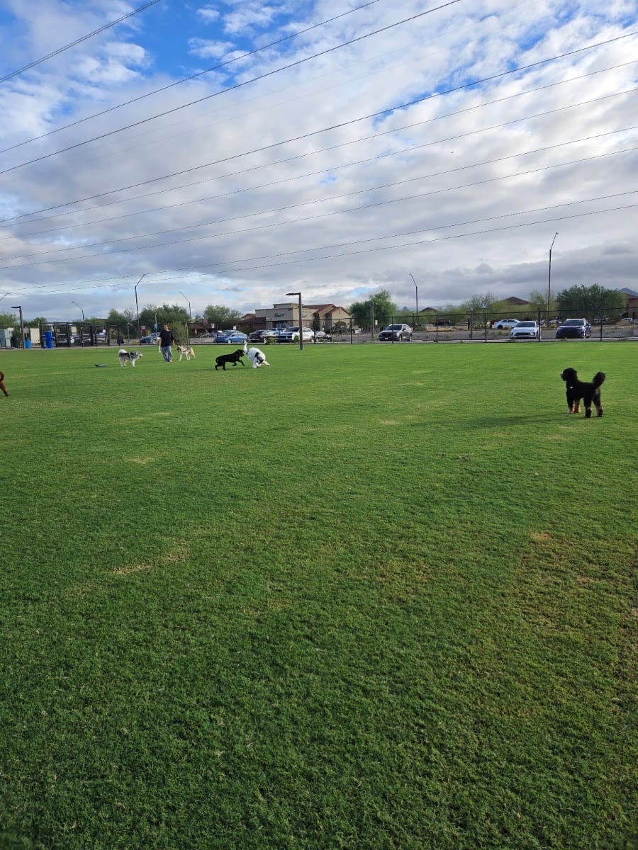 Thompson Peak Park Dog Park, photo 3
