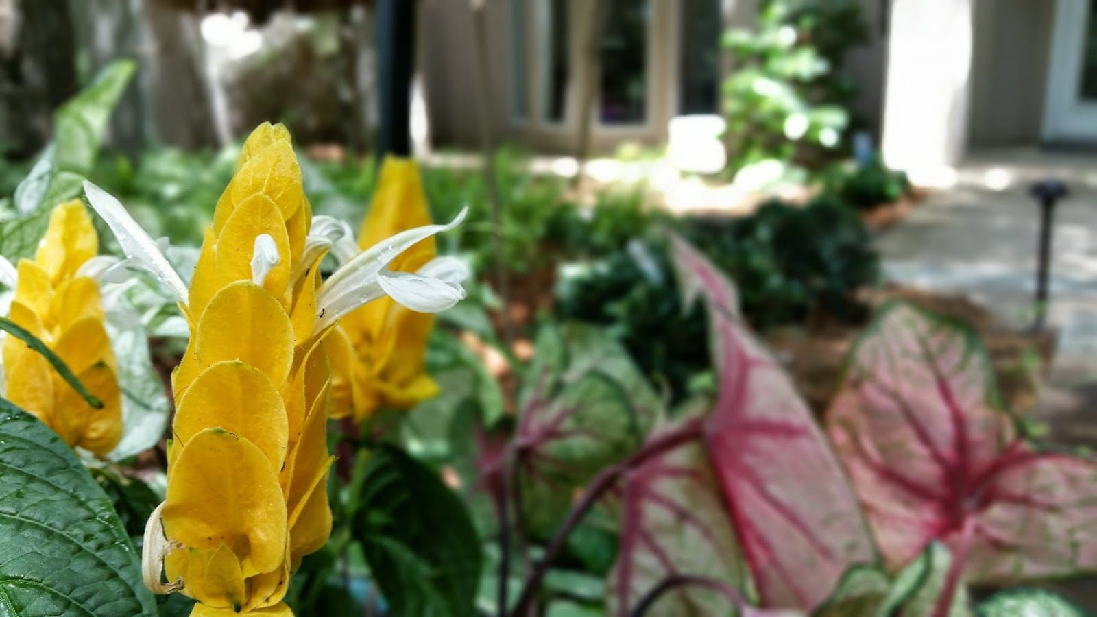 Lake Cities Landscaping, photo 2