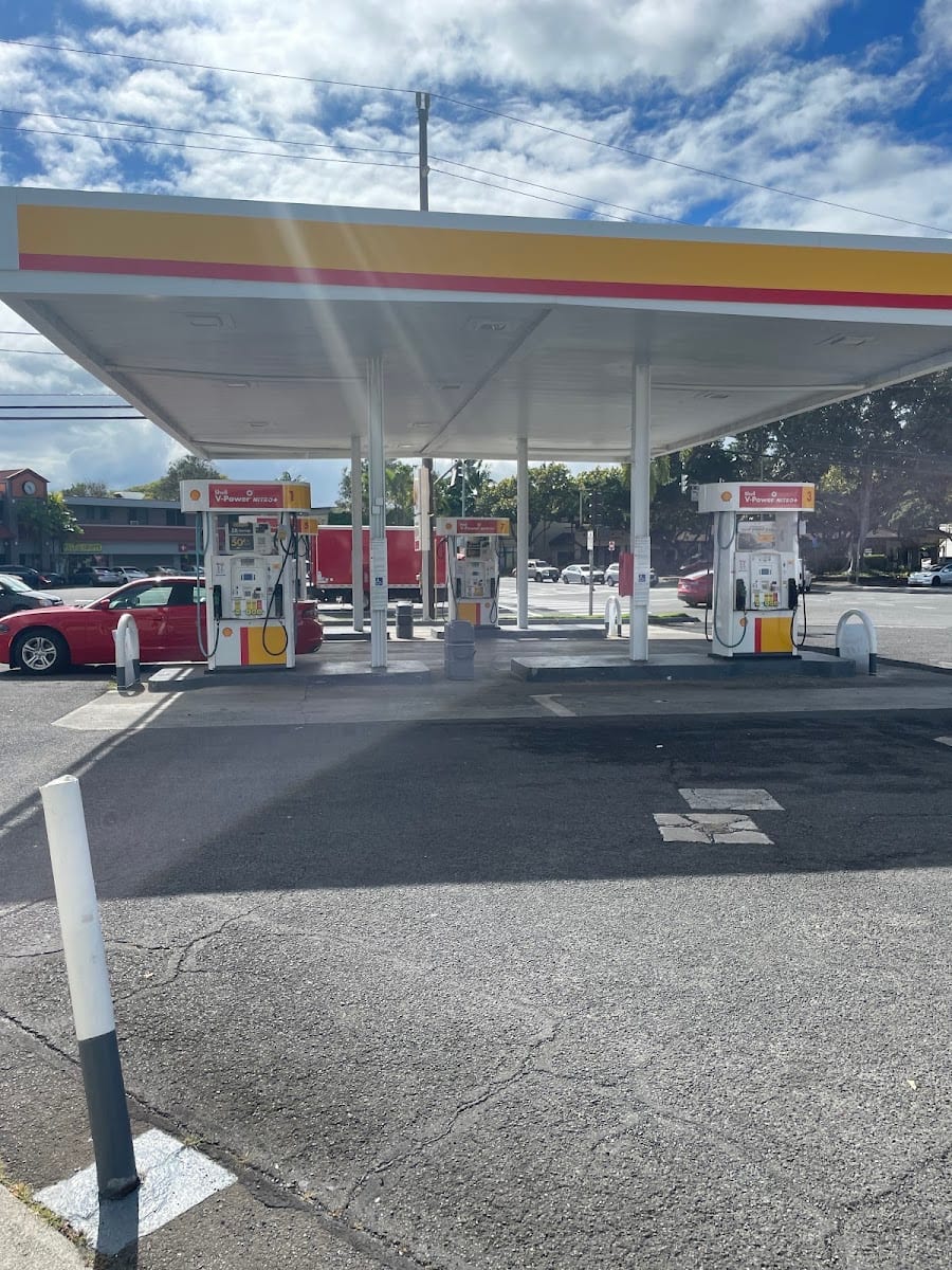 Shell, photo 4
