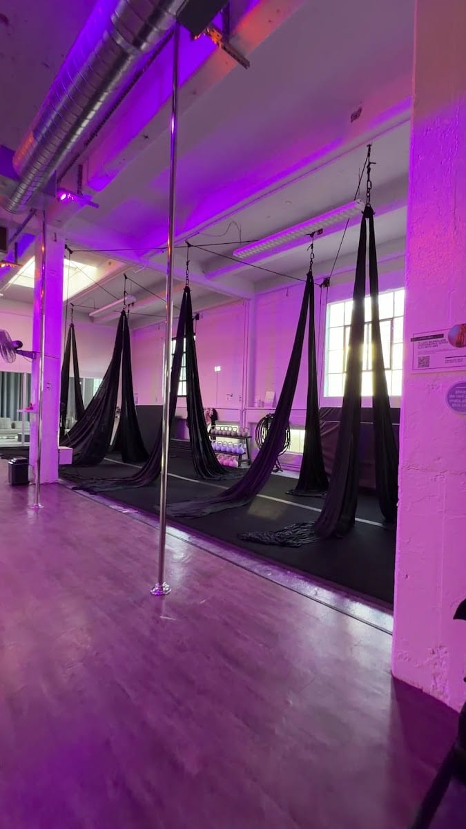 San Francisco Pole + Dance, photo 3