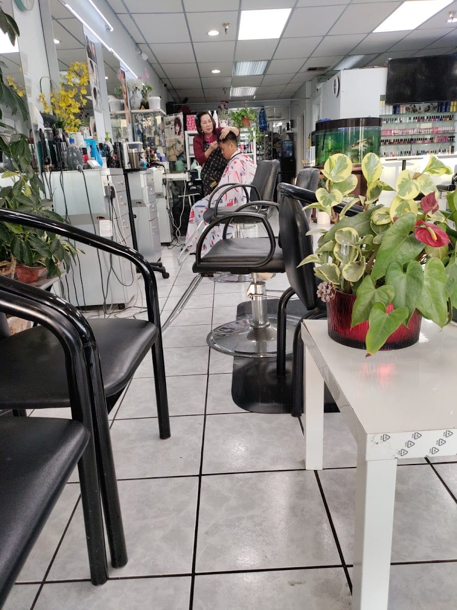 Hai Beauty Salon