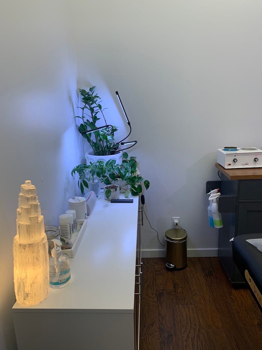 Bare Roots Wax Co, photo 4