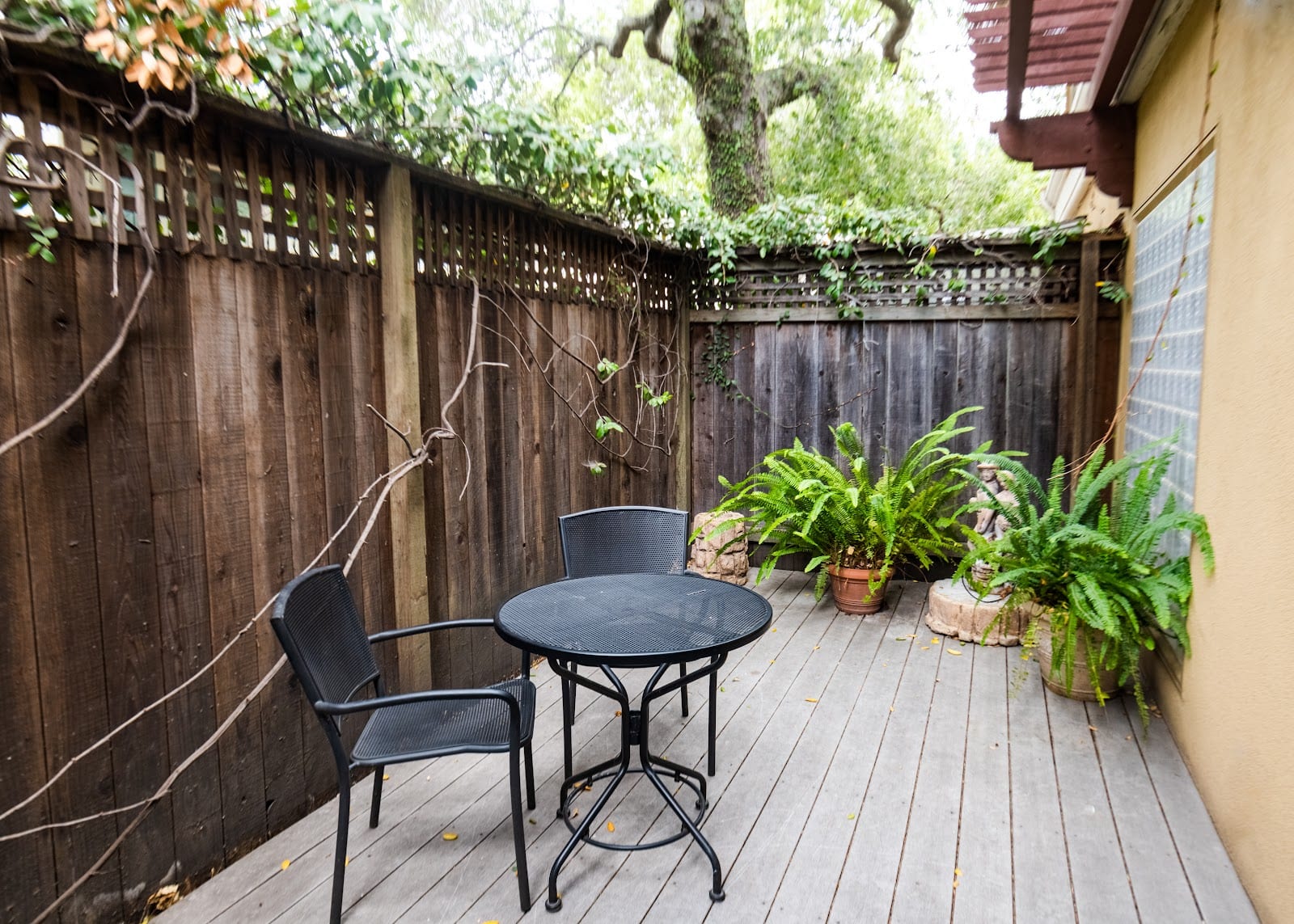 Arbor Guest House, photo 3