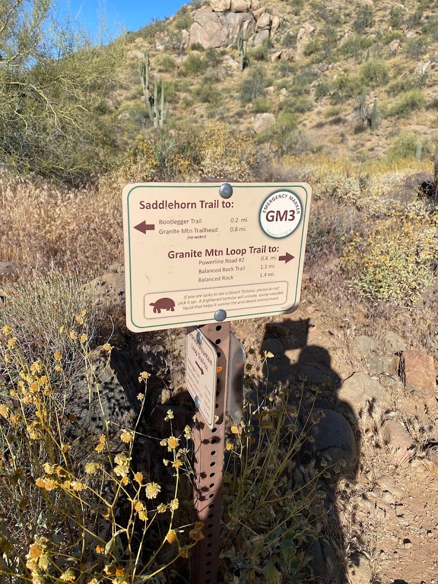 McDowell Sonoran Preserve, photo 3