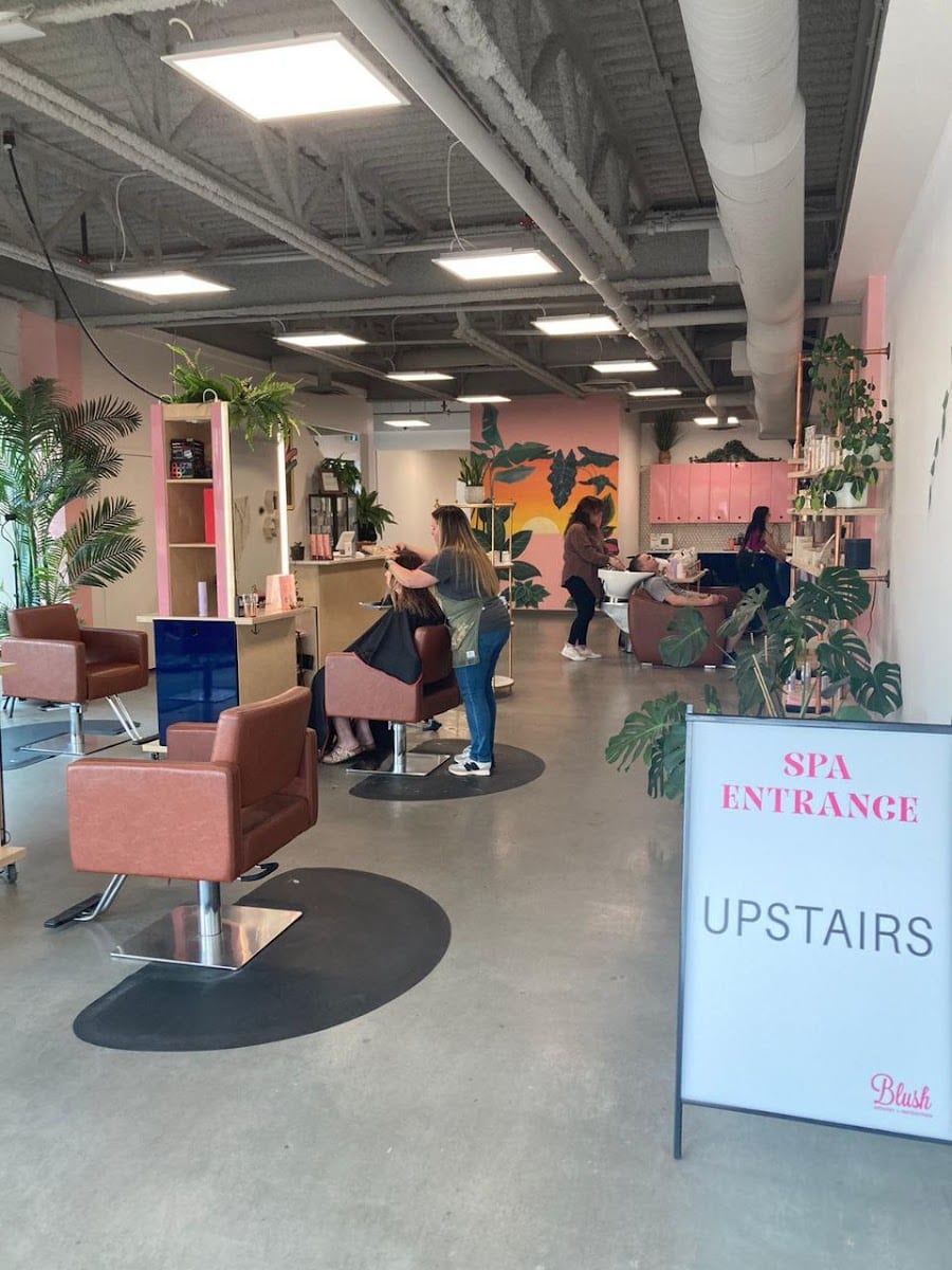 The Hair District, photo 2