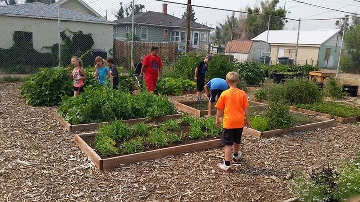 Wyoming Food for Thought Project, photo 2