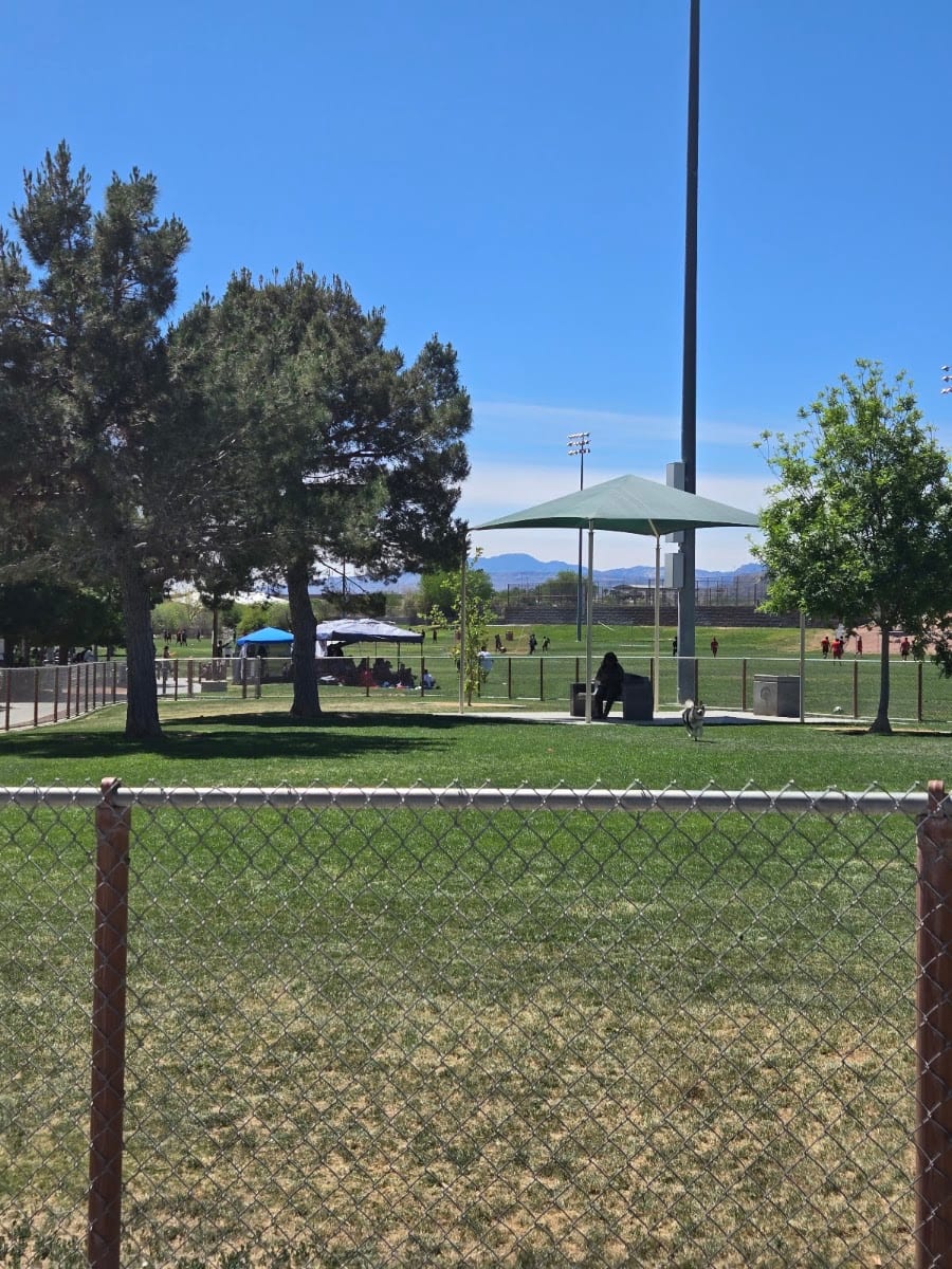 Dog park