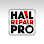 Hail Repair Pro Lubbock - Body & Dent Repair