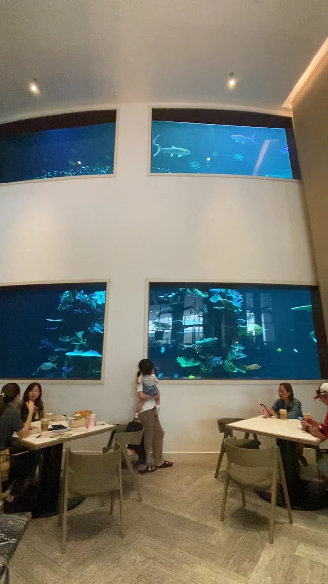 LB Cafe, photo 2