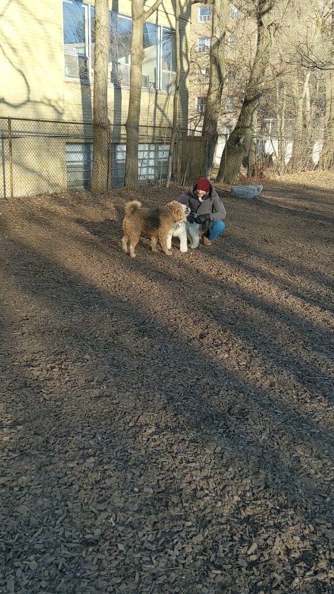 Sandy Bruce Park, photo 2
