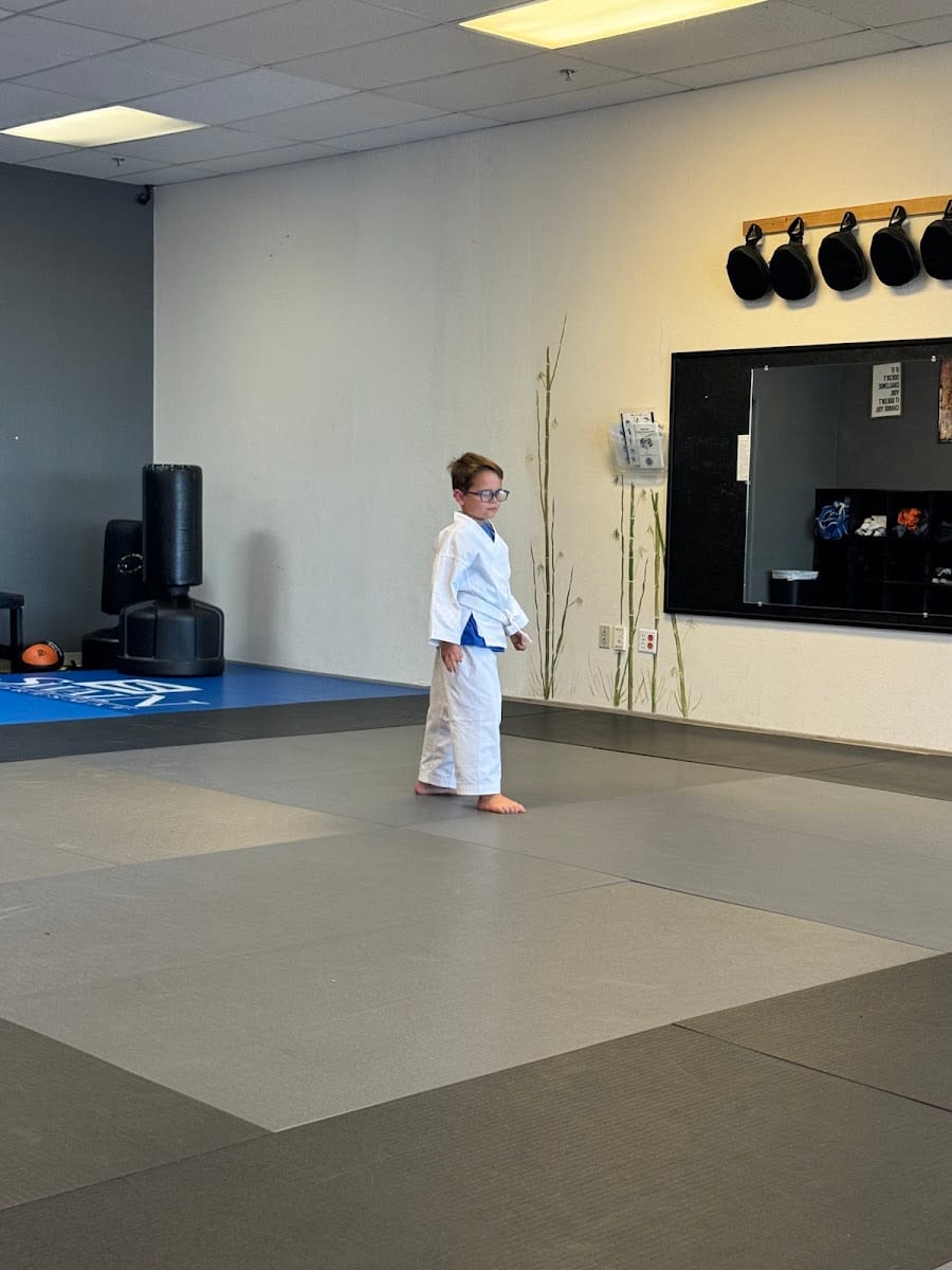Las Vegas Martial Arts Academy, photo 3