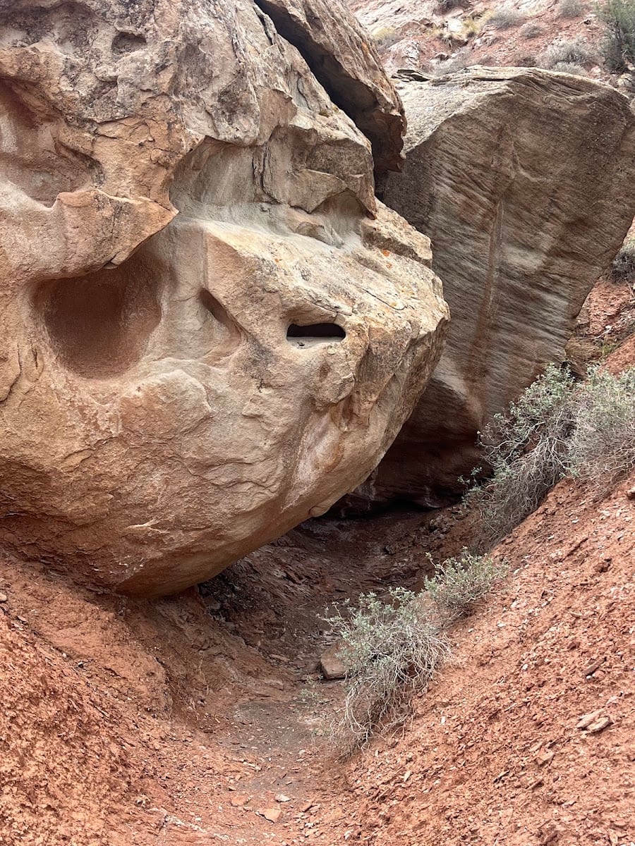 Razorback Trailhead